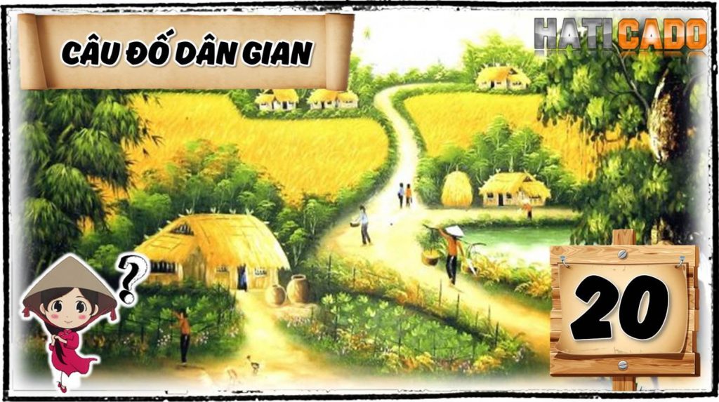 Cau do vui dan gian viet nam co dap an tap 20 cau do vui nhanh nhu chop thu thach tri tue Haticado
