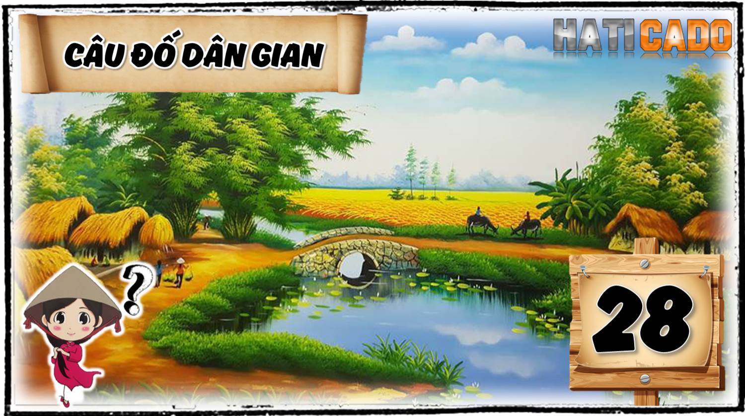 Cau do vui dan gian viet nam co dap an tap 28 cau do vui nhanh nhu chop thu thach tri tue Haticado
