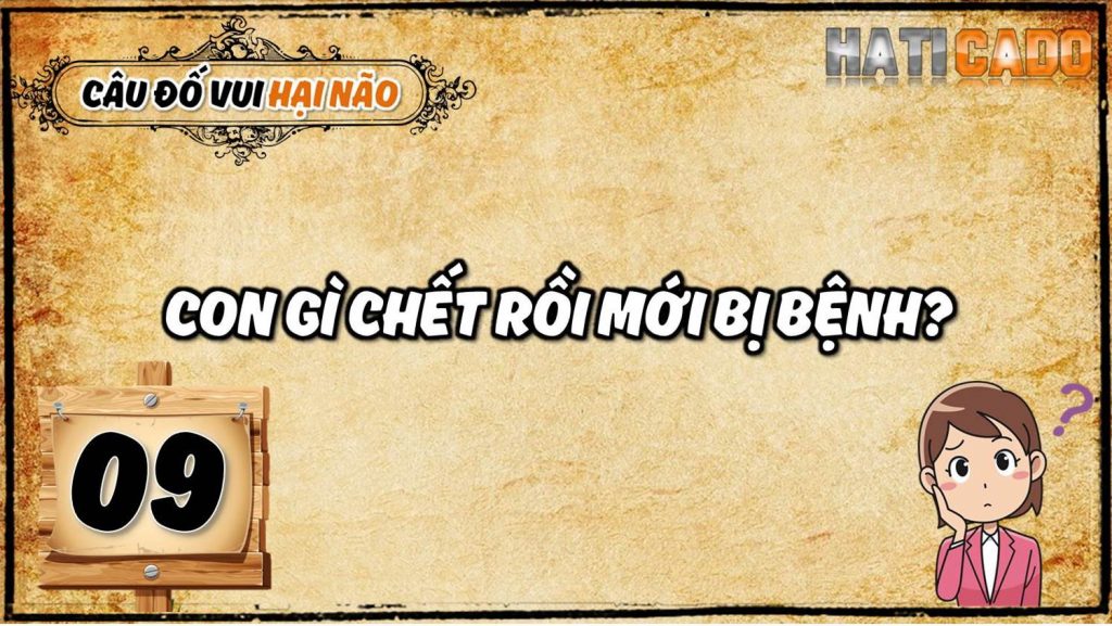 Cau do vui hai nao co dap an tap 9 cau do nhanh nhu chop tro choi tri tue Haticado