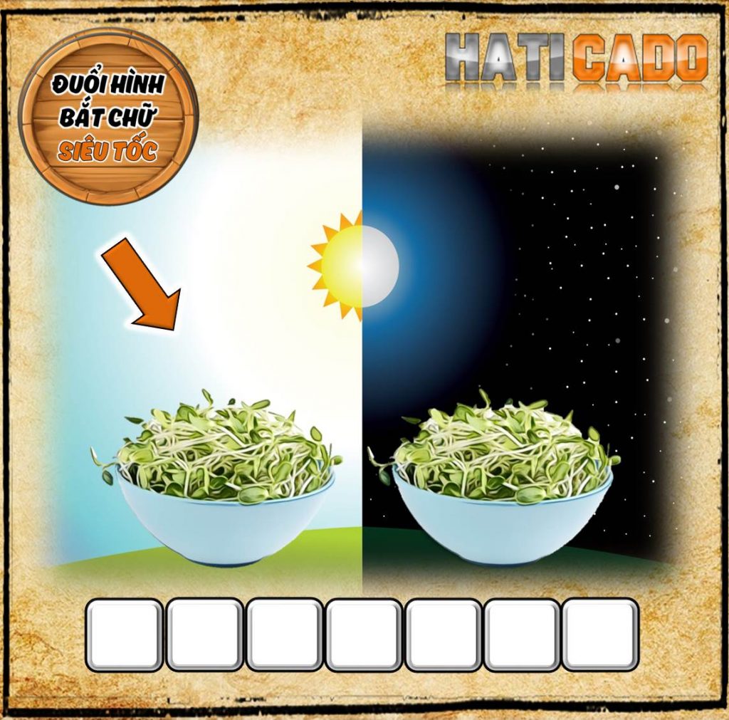 Đuổi Hình Bắt Chữ 2021 phần 25 câu 5