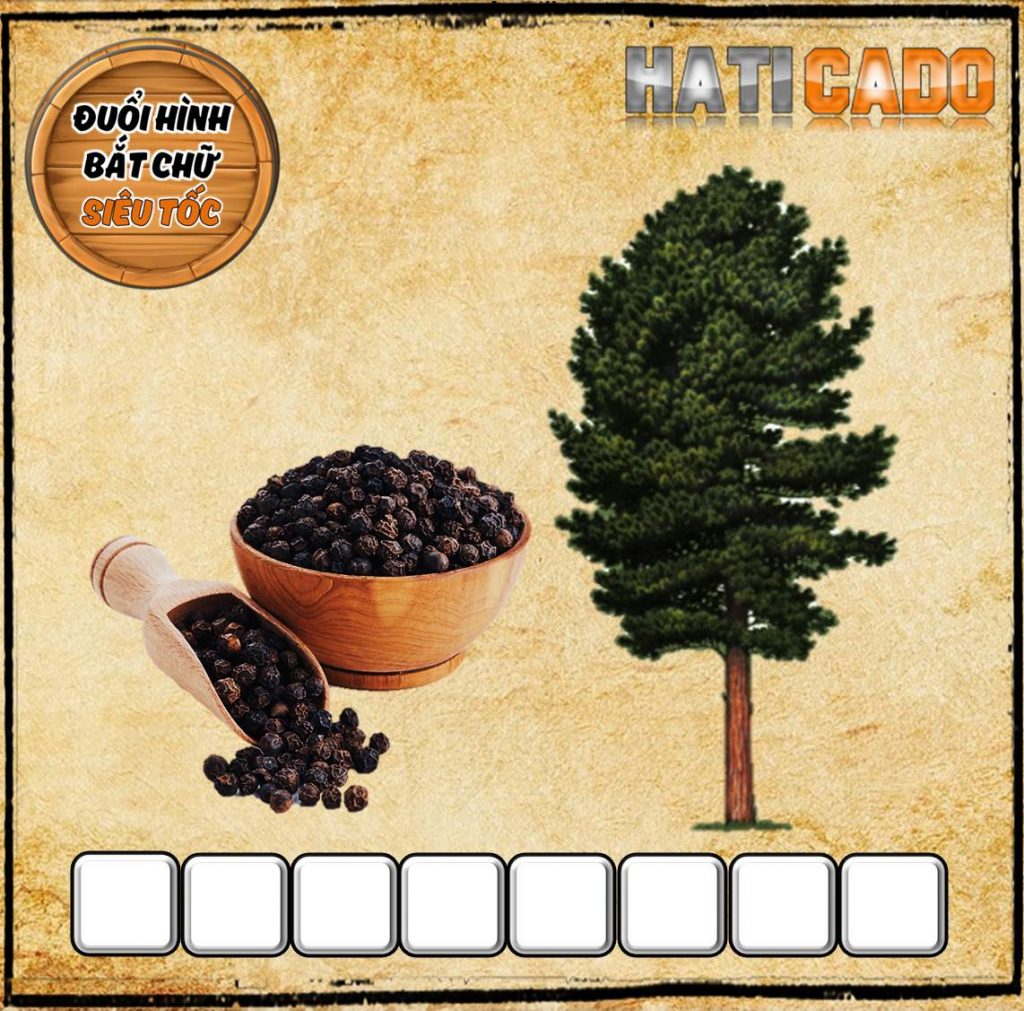 Đuổi Hình Bắt Chữ 2021 phần 28 câu 8