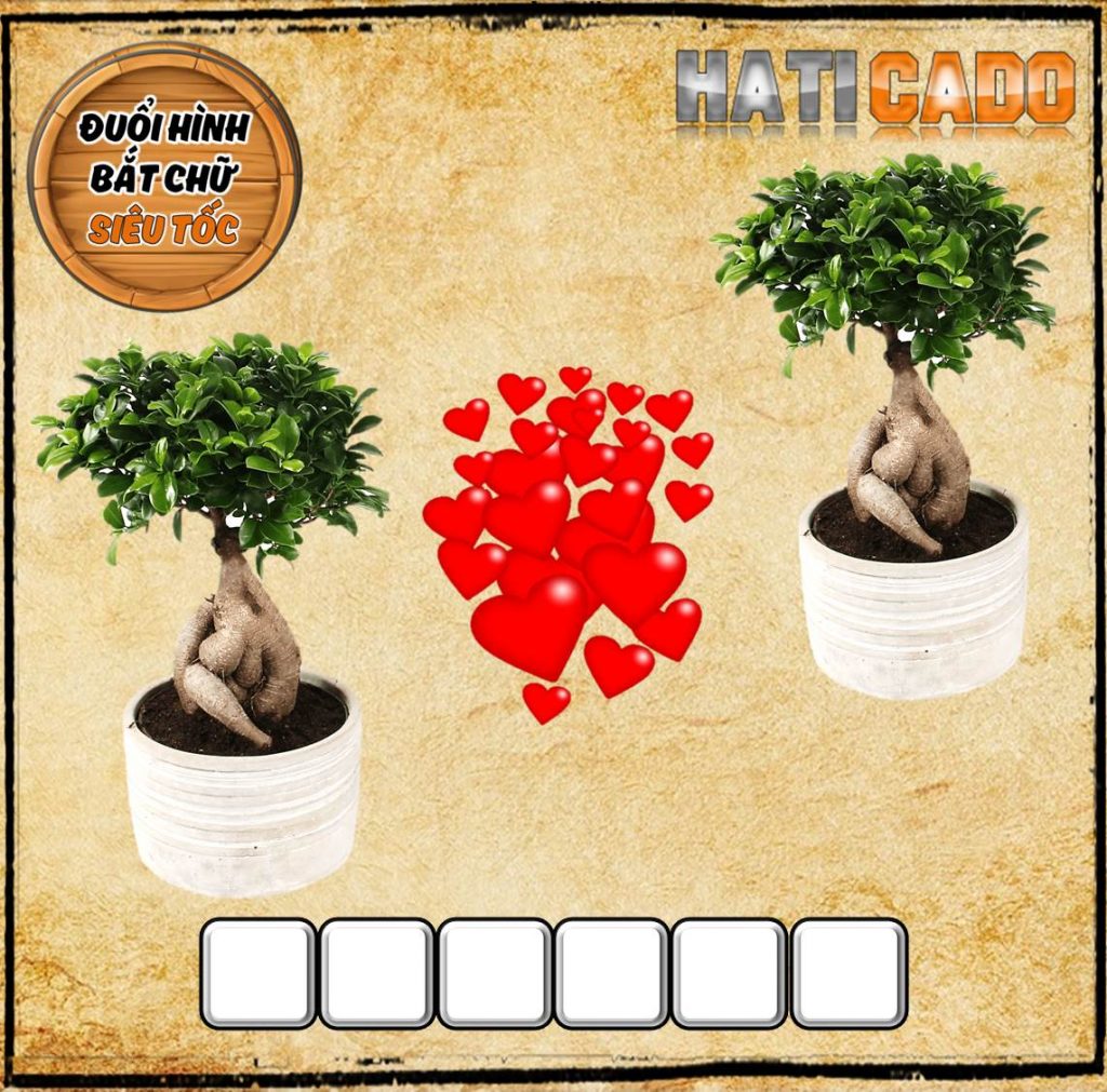 Đuổi Hình Bắt Chữ Khó Phần 21. Đuổi Hình Bắt Chữ 2021 Có Đáp Án. Thử Thách Nhìn Hình Đoán Chữ Haticado