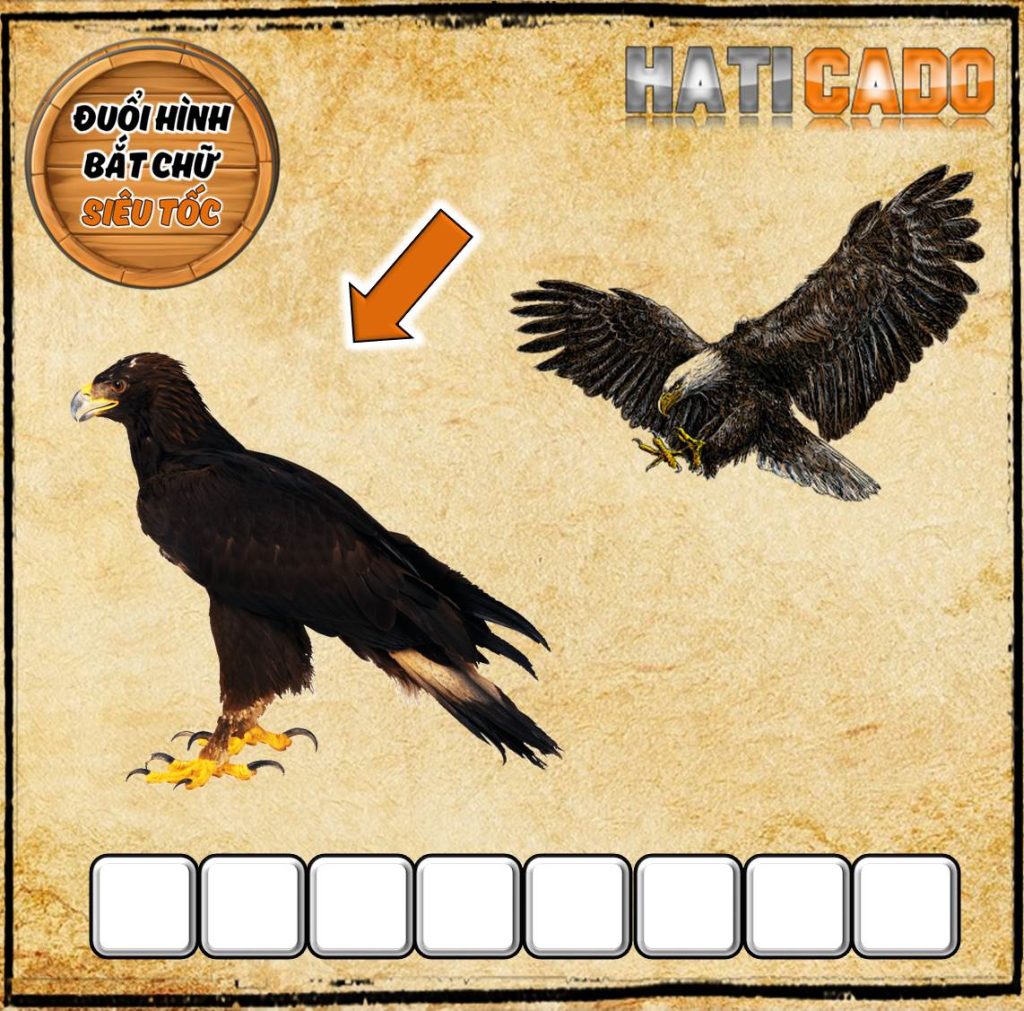 Duoi hinh bat chu kho duoi hinh bat chu 2025 co dap an duoi hinh bat chu hay nhat do vui hack nao thu thach 25h dhbc moi 4 Haticado 7 1